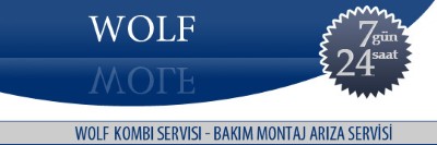 Topselvi Wolf Kombi Servisi 0216 309 4025