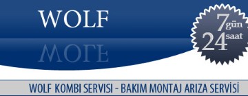 Barbaros Wolf Kombi Servisi 0216 309 4025